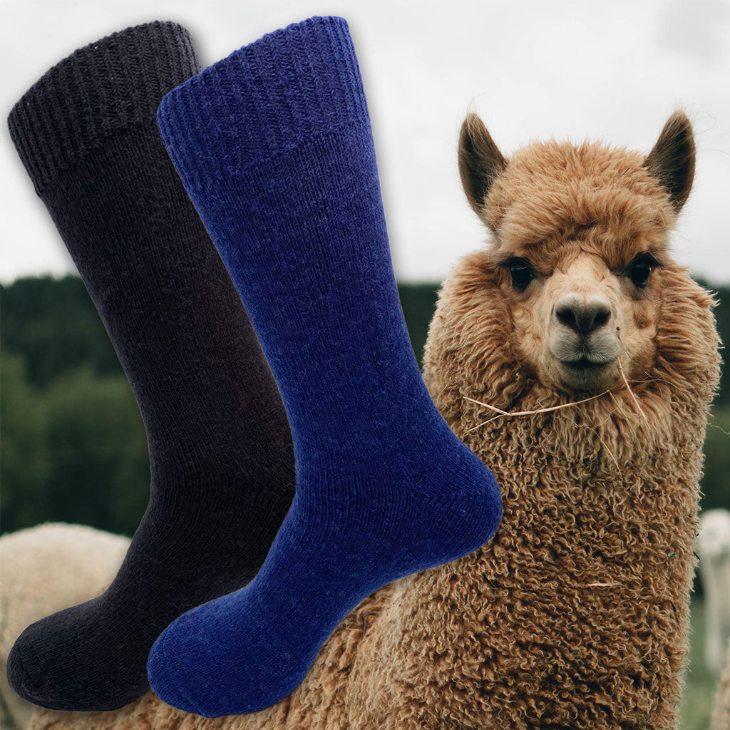 Alpaca Sock